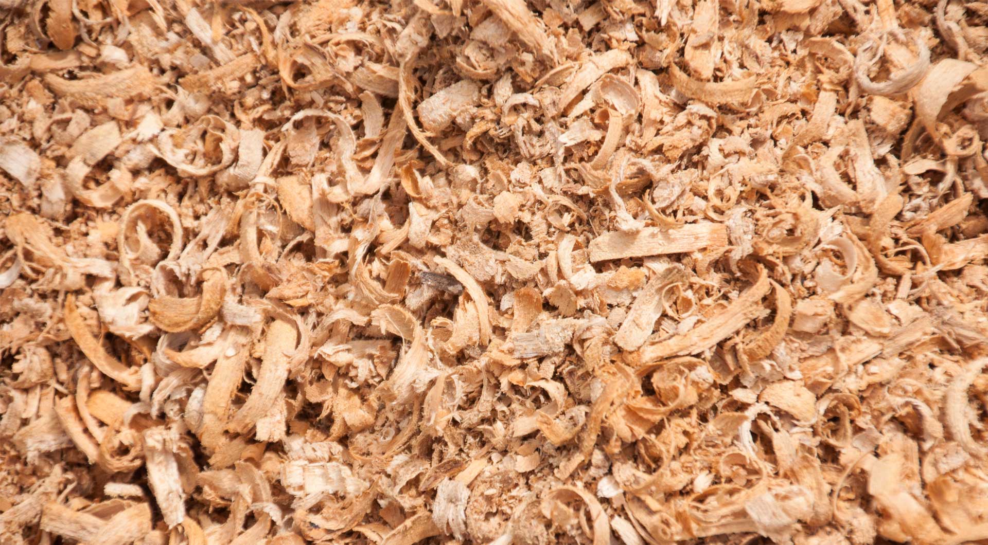 wood shavings