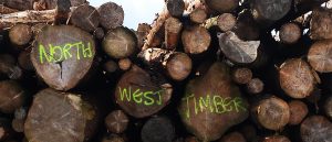 north west timber