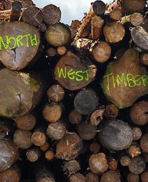 north west timber