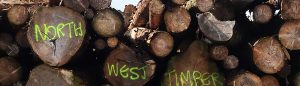 northwest timber logs
